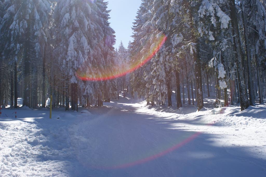 Hotel Haus Oberland マッサーベルク エクステリア 写真